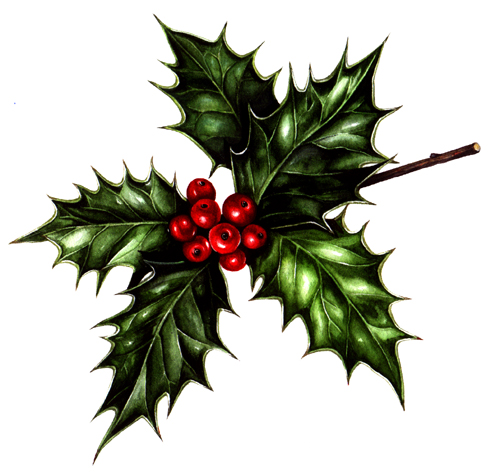 The Folklore of Christmas Holly - The Flower Writer