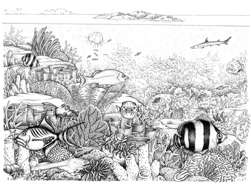 pen and ink, coral reef, tropical seas,