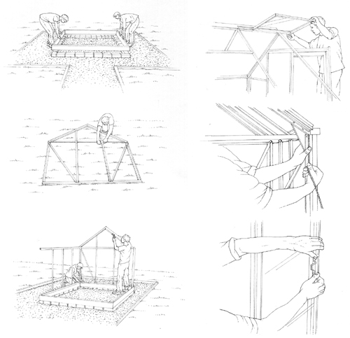 Greenhouse erection, sxs, pen and ink,