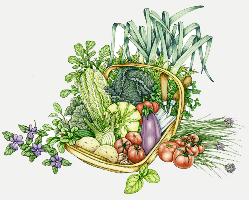 vegetable gardening, pen and ink techniques,