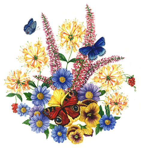 Illustrating a Butterfly Bouquet - Lizzie Harper