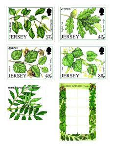 flower art, flower painting, trees, ash, oak, arboriculture, botanical illustration, dragonfly,