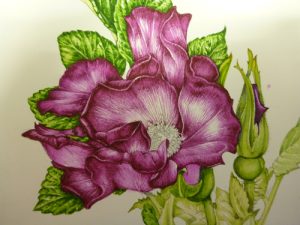 Step by step, process, tutorial, how to, art teaching, art tutorial, sxs, sketchbook, sketchbook study,