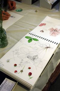 public, demo, demonstration, residence, skills, demonstrate skills, skill share, on show, conferences, exhibitions,