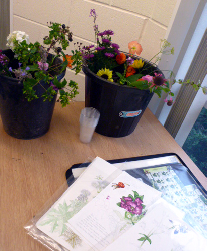 Llandrindod, art workshop, flowers, workshop, buckets, sketches,