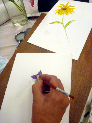 Llandrindod, art workshop, flowers, workshop, drawing,