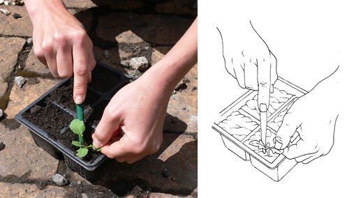 hand, hands, diagram, explanatory illustration, step by step, sxs, drawing hands, illustrating hands,