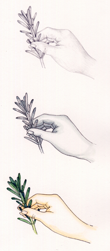 hand, hands, diagram, explanatory illustration, step by step, sxs, drawing hands, illustrating hands,