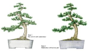 Diagrams, pen and ink, top wash, colour wash, gardening, japan, bonsai garden,