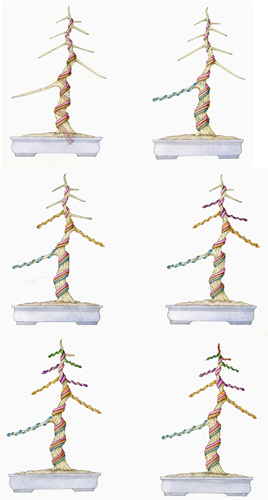 The Basics of Bonsai Wire - Basic Bonsai