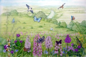 Hartslock Nature Reserve