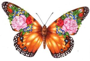 Illustrating a Butterfly Bouquet - Lizzie Harper