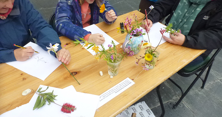 drawing at the botanic gardens