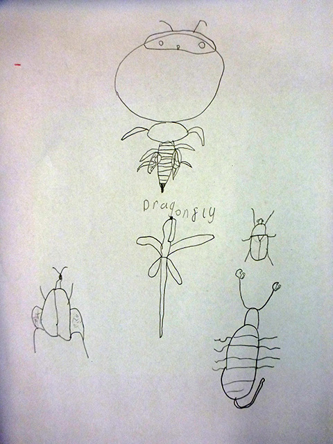 Primary School Drawing Workshop Lizzie Harper