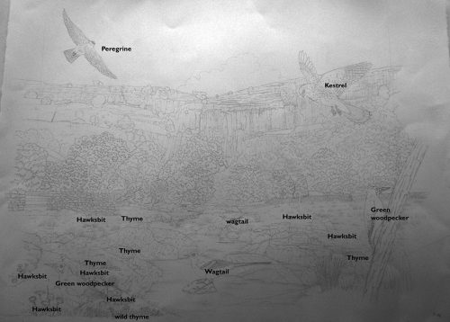 Landscape Illustration Malham Cove Lizzie Harper landscape-illustration-malham-cove-lizzie-harper