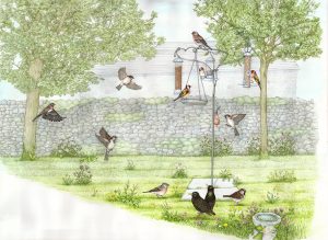 Malham Cove Information Boards