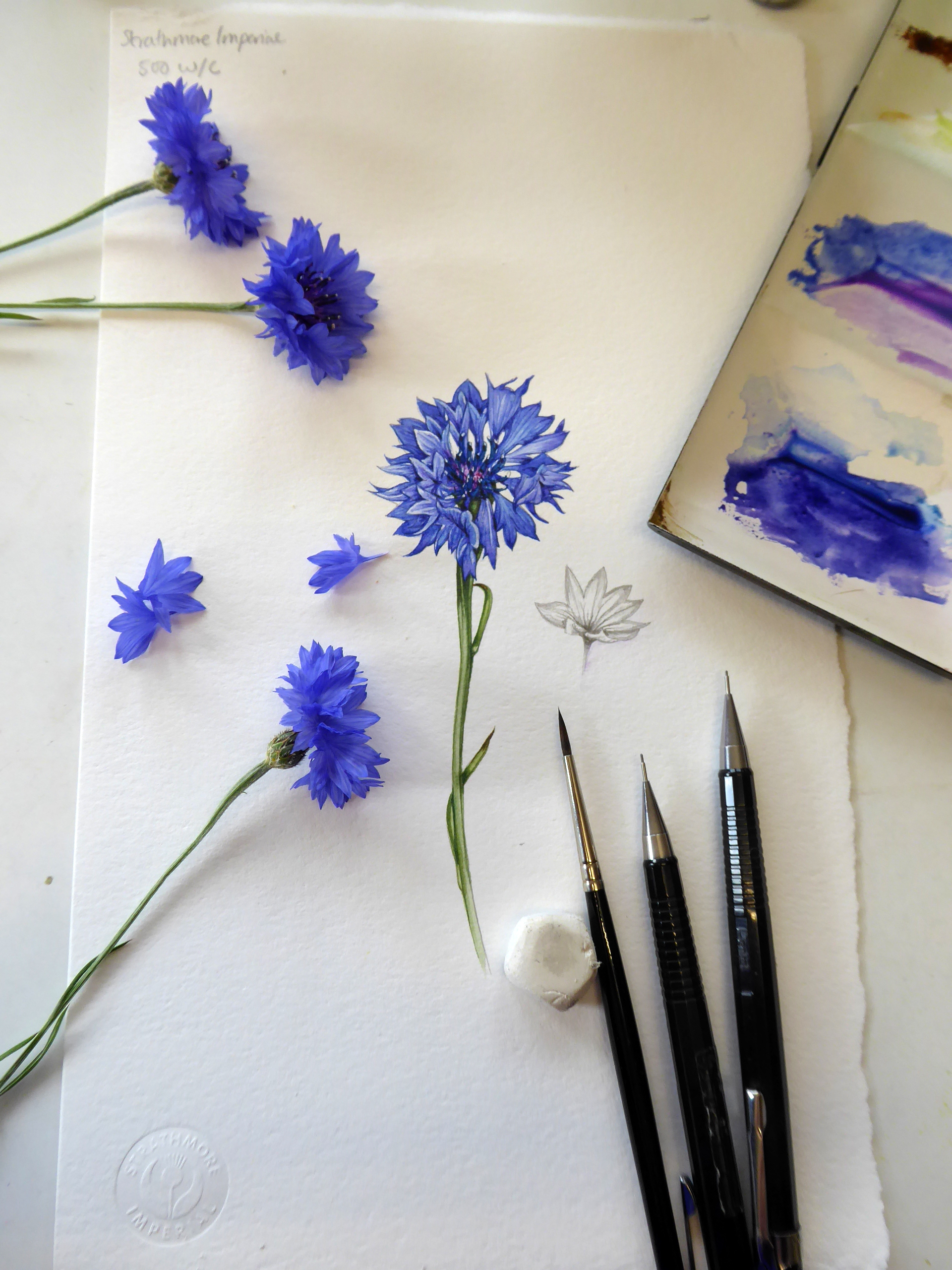 The Watercolor Artists Flower Handbook