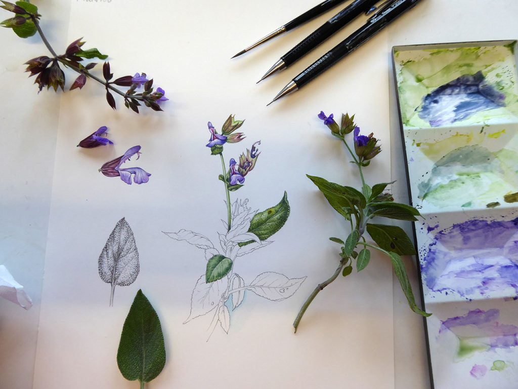 Garden, Me, Watercolour & Ink, 2021 : r/Watercolor