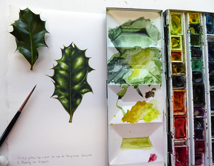 My watercolor study of ivy leaves!  Leaf drawing, Ivy leaf, Flower painting