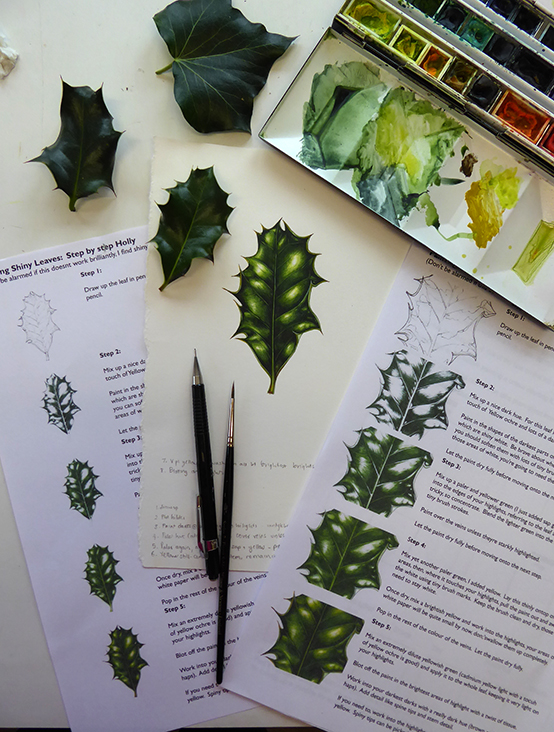 Holly leaf botanical illustration by Lizzie Harper handout