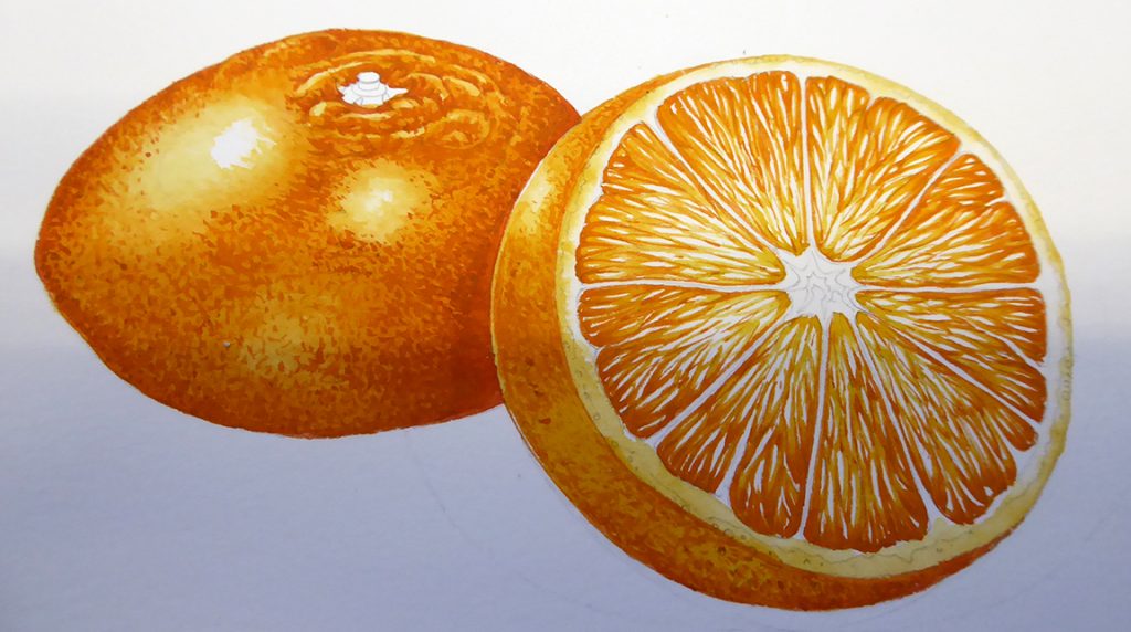 Orange fruit sketch Black and White Stock Photos & Images - Alamy