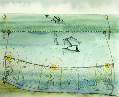 Fishing net pinger deterring domphins natural history diagram by Lizzie Harper