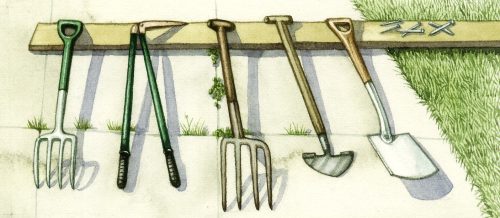 Garden tool rack natural history illustration by Lizzie Harper