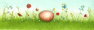 Hen egg in a field natural history illustration by Lizzie Harper