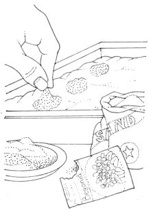 Mixing tiny seeds with sand