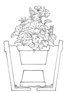 Plant pot in another plant poot for container gardening natural history illustration by Lizzie Harper