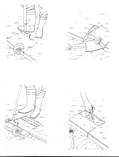 Repairing a damaged lawn