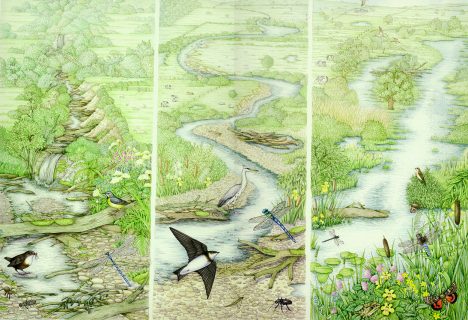 River landscape natural history illustration by Lizzie Harper