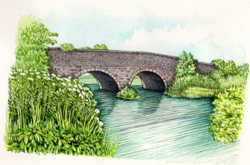 Bridge over river natural history illustration by Lizzie Harper