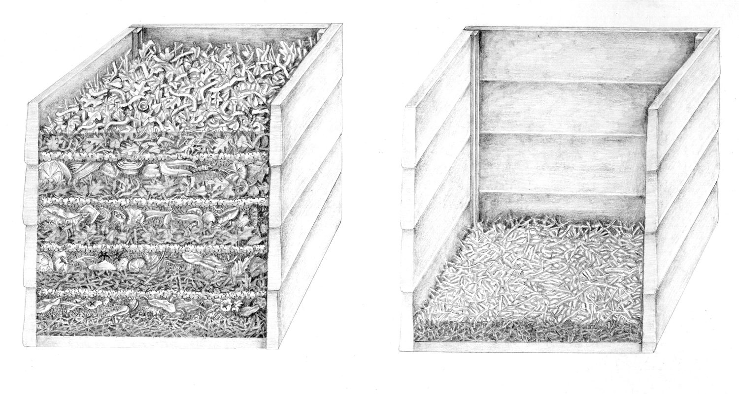 Two compost bin set up Lizzie Harper