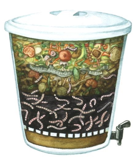 Worm compost system natural history diagram by Lizzie Harper
