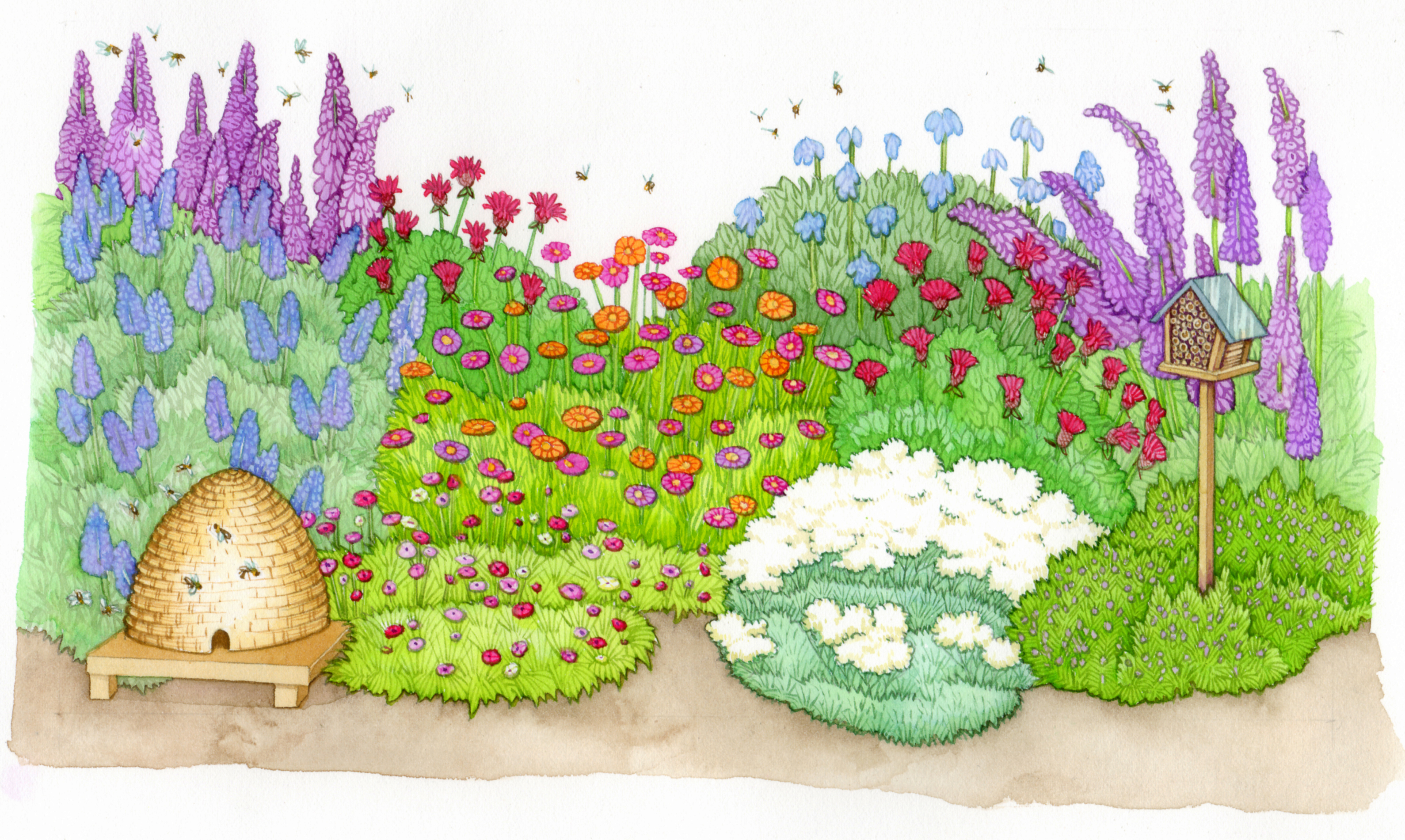 layout for bee garden