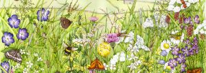 Save the Bees: How to Make Your Garden a Bee Haven - Lizzie Harper