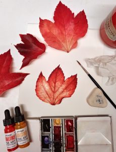 leaf, autumn, coolour, watercolour,