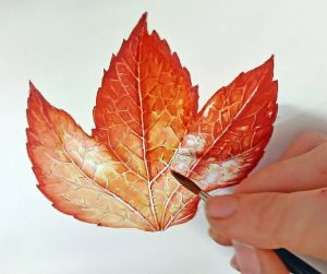 lead fall autumn watercolour watercolor botanicalillustration