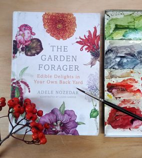 The Garden Forager by Adele Nozedar