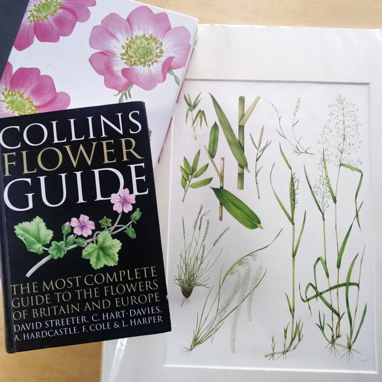 Collins Flower Guide by David Streeter Lizzie Harper