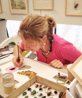 Lizzie harper botanical illustrator and natural history illustrator
