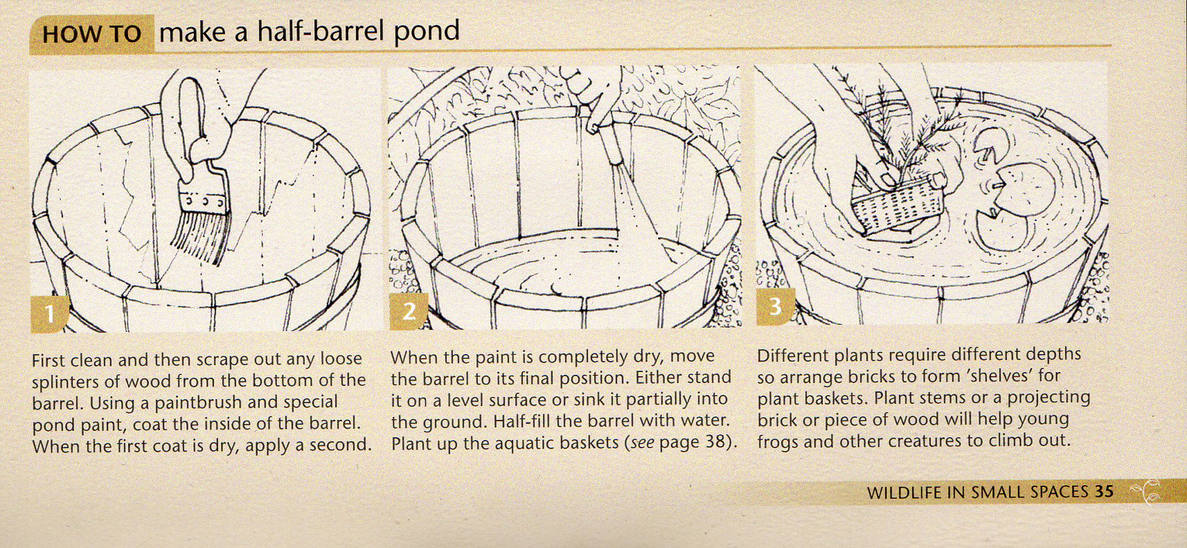Alan Titchmarsh how to Garden Barrel pond Lizzie Harper