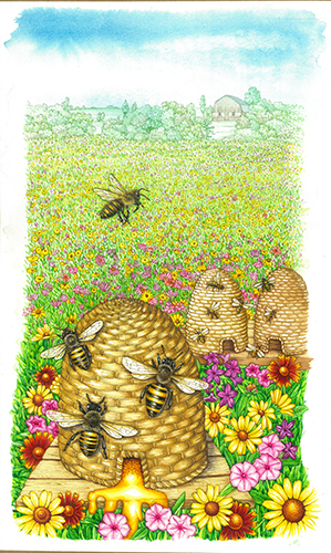 Honey bees Apis mellifera in floral pasture with skeps