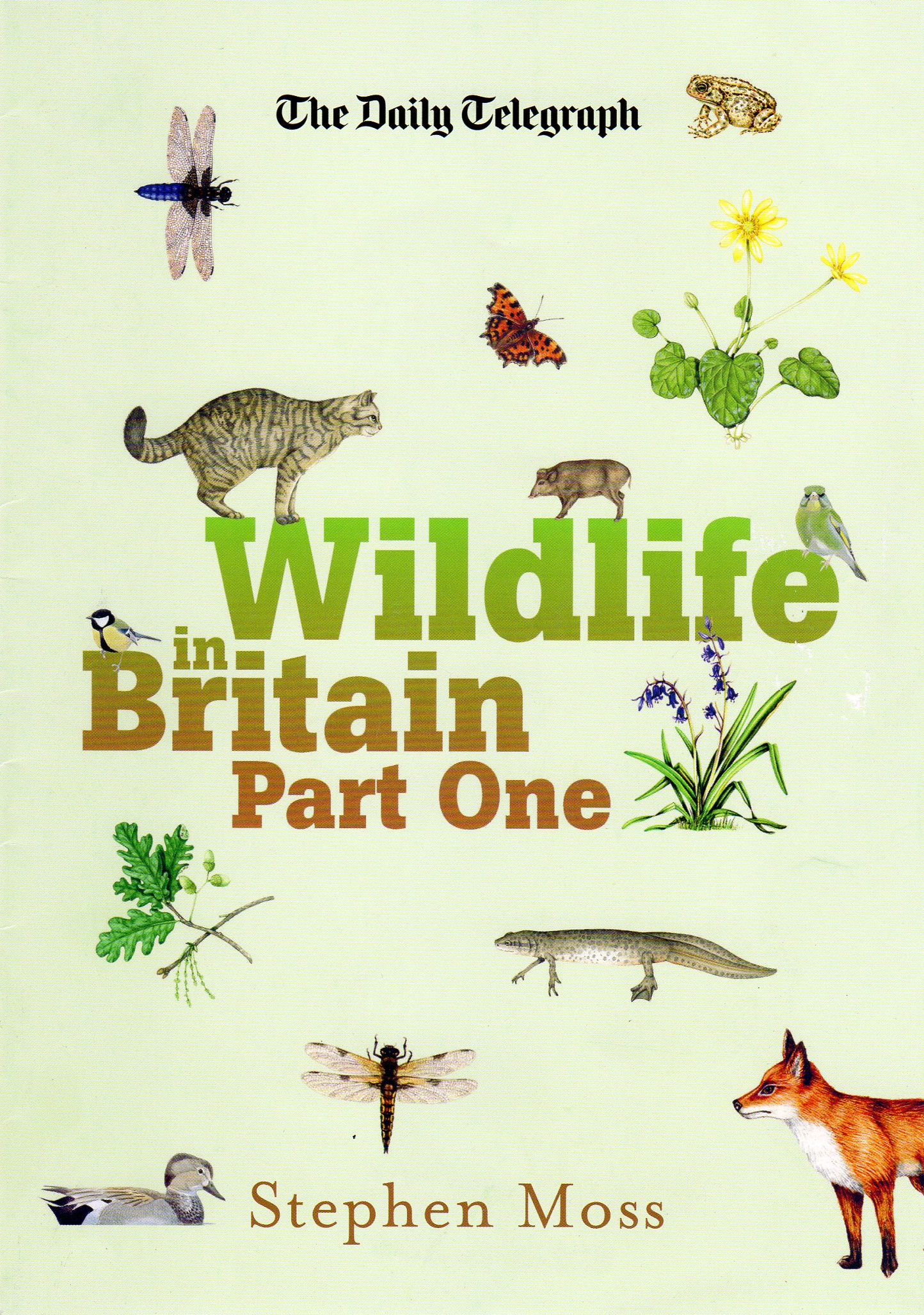 Bumper book of Nature