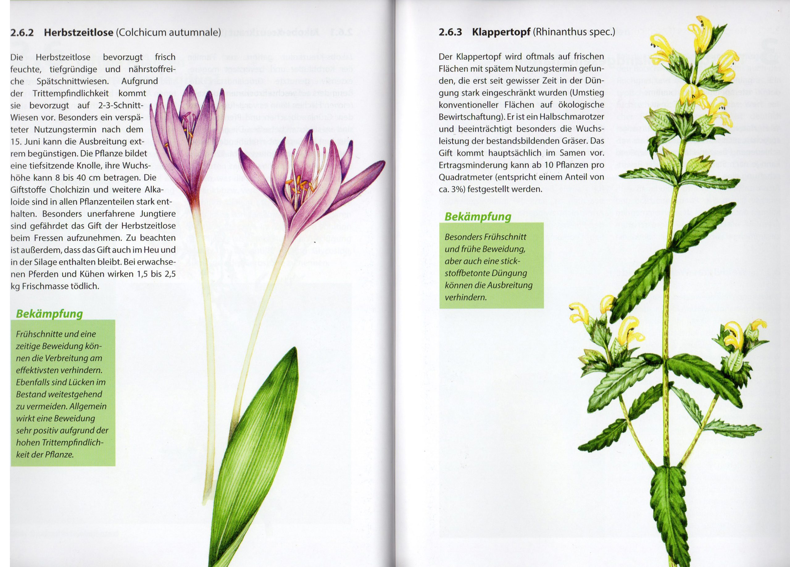 freudenberger grunlandbuch