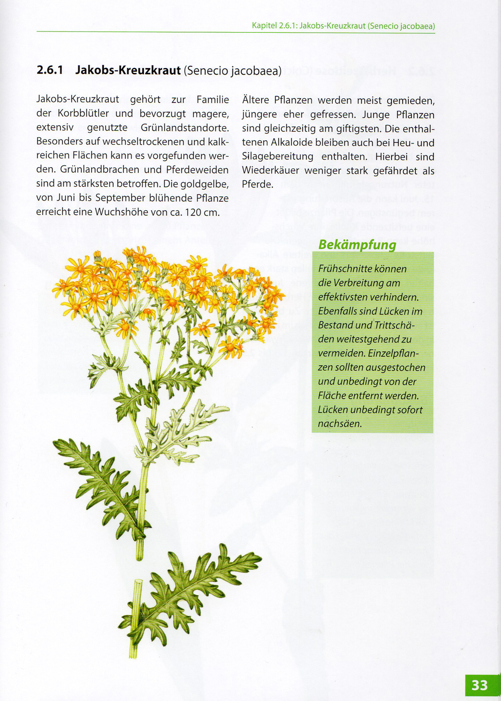 freudenberger grunlandbuch