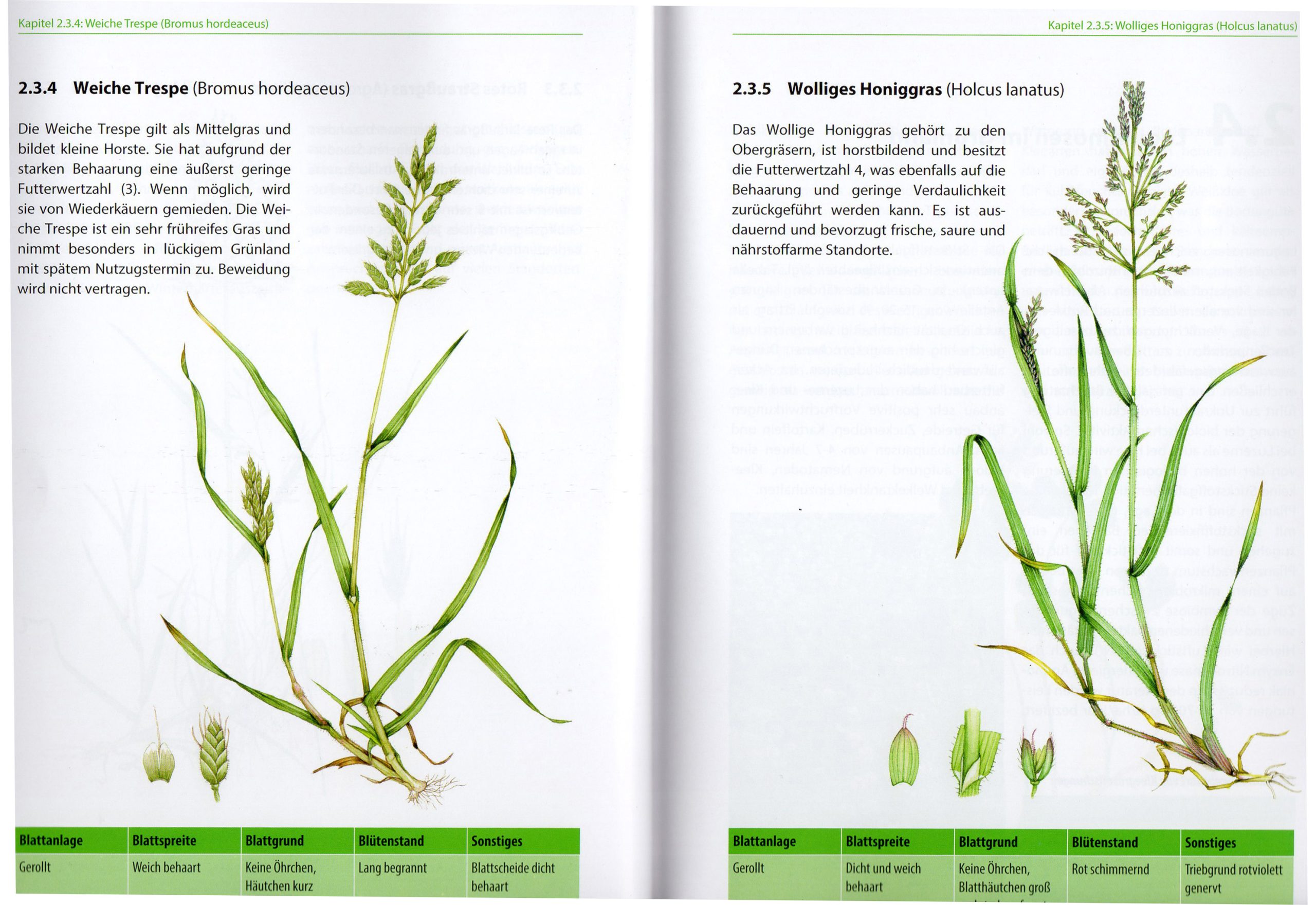 freudenberger grunlandbuch