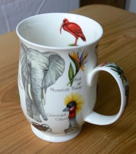 Dunoon Ceramics: Life on Earth series