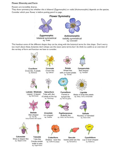 different types of flowers